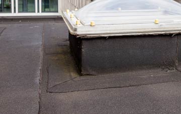 disadvantages of Highampton flat roofs